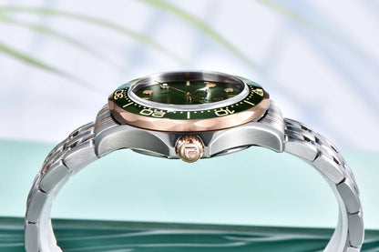 PAGANI DESIGN 2026 New automatic watch for men 007, luxury automatic watch for men, mechanical watch for men, AR sapphire, luminous, EU local delivery