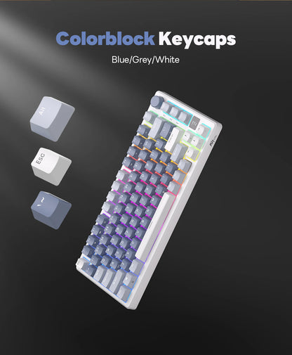 RK ROYAL KLUDGE M75 2.4G Wireless/Bluetooth/USB-C Mechanical Keyboard 81Keys RGB Hot-Swappable Gasket Gamer Keyboard with Screen