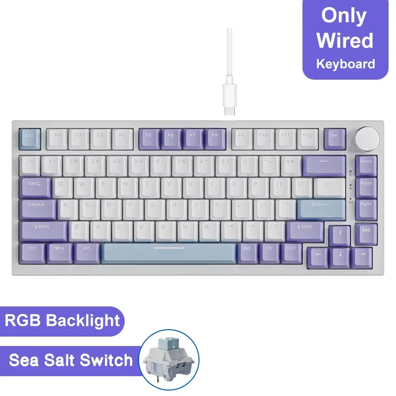 AJAZZ AK820 Wired Mechanical Keyboard Full-Key Hot-Swap Keyboard with Removable USB Port, White & Ice Blue Backlit Gaming Keyboard for PC