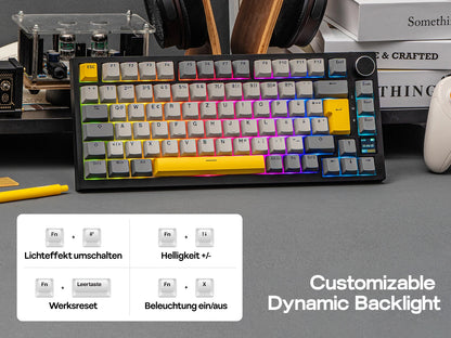 ISO-DE Layout AJAZZ AK820 PRO 75% QWERTZ German Layout Mechanical Keyboard Tri-Modes Wireless Keyboard with TFT Screen NKRO RGB