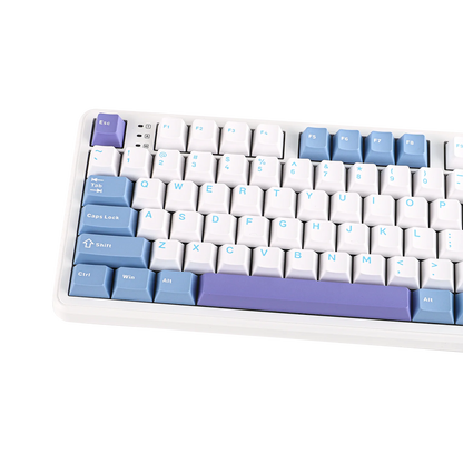 EPOMAKER x AULA F108 Full Size 100% ANSI Layout Hot-Swap Wired/2.4GHz/Bluetooth 5.0 Wireless Mechanical Keyboard RGB Backlight