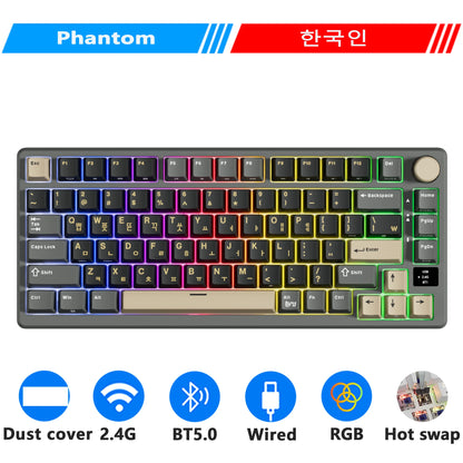 RK ROYAL KLUDGE M75 2.4G Wireless/Bluetooth/USB-C Mechanical Keyboard 81Keys RGB Hot-Swappable Gasket Gamer Keyboard with Screen