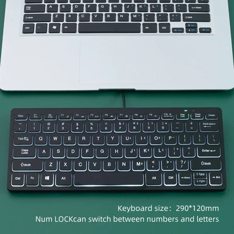 Mini Teclado com Fio APAYADO K1000 - Design Compacto e Portátil, Plug-and-Play, Ideal para Portáteis/Computadores, Resistente a Derrames