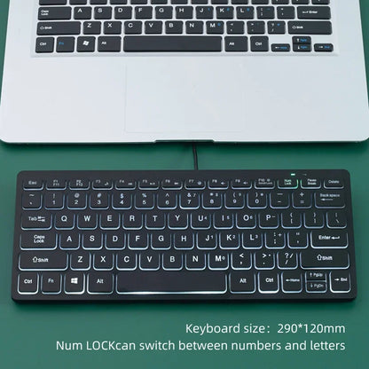 Mini Teclado com Fio APAYADO K1000 - Design Compacto e Portátil, Plug-and-Play, Ideal para Portáteis/Computadores, Resistente a Derrames