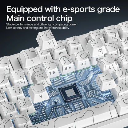 ATTACK SHARK R82 HE Teclado Magnético com Fio 75% RGB 8000Hz Rapid Trigger Atuação de 0.005mm Teclado Gaming