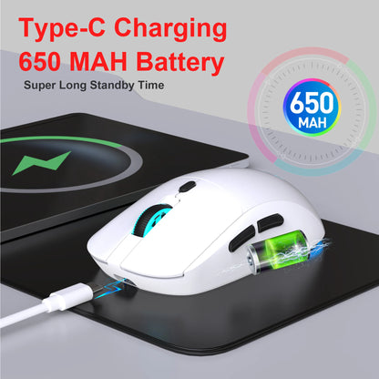 Rechargeable 2.4G USB Wireless Mouse, RGB Wireless Mouse with 3600 DPI, Ergonomic Rechargeable Wireless Mouse for Laptop, PC, Home Office & Gaming