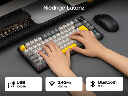 ISO-DE Layout AJAZZ AK820 PRO 75% QWERTZ German Layout Mechanical Keyboard Tri-Modes Wireless Keyboard with TFT Screen NKRO RGB