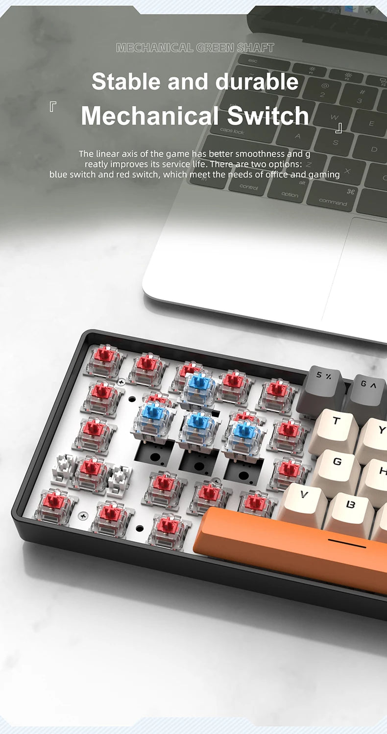 Teclado mecânico mini APAYADO K61, com fio, 61 teclas, Phantom RGB, interruptor mecânico vermelho/azul preto/branco para gaming, 60% portátil