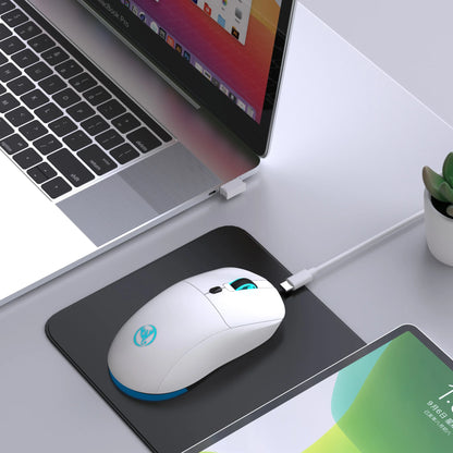 Rechargeable 2.4G USB Wireless Mouse, RGB Wireless Mouse with 3600 DPI, Ergonomic Rechargeable Wireless Mouse for Laptop, PC, Home Office & Gaming