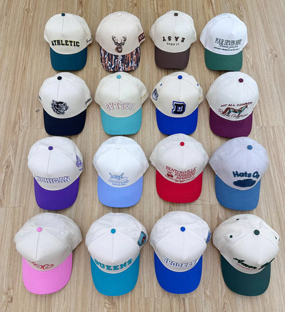Custom Logo and Color  Baseball Caps Wholesale Structured a Frame 100% Cotton Gorras Baseball Sport Hats