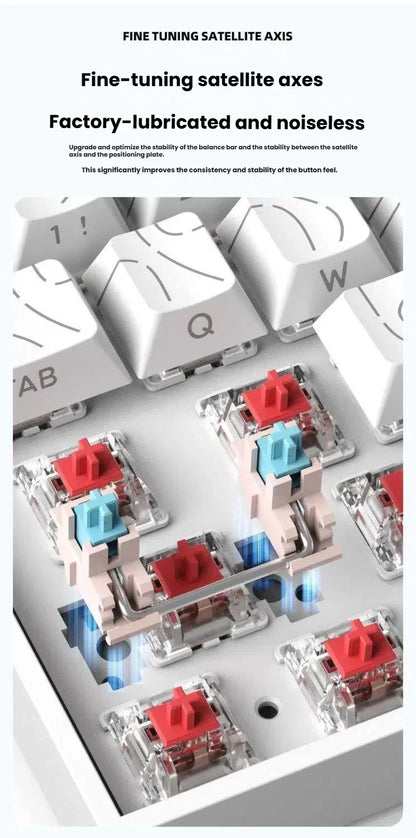Teclado mecânico portátil com fio K61, Phantom RGB colorido, resposta de nível gaming, design ergonómico, adequado para gaming e escritório