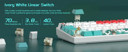 Teclado Mecânico Gaming MageGee 60%, RGB, Totalmente Hot-swappable, Switches Personalizados, Mini Teclado de Escritório com 61 Teclas para Portátil Win/Mac