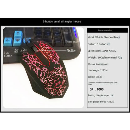 2400 DPI laidinė USB žaidimų pelė su RGB LED apšvietimu, ergonomiška kompiuterio pelė, skirta asmeniniams kompiuteriams, nešiojamiesiems kompiuteriams ir „MacBook“, profesionali 6 mygtukų optinė žaidimų pelė