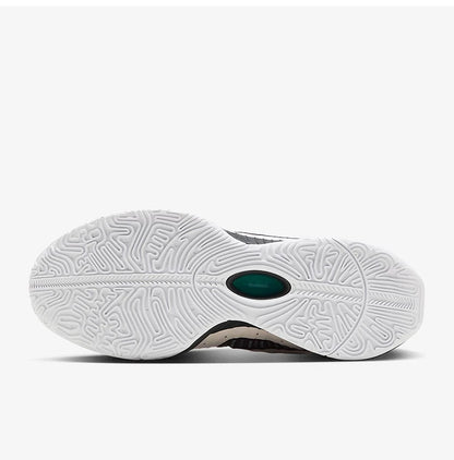Sapatilhas de Basquetebol Almofadadas para Homem Nike Authentic LeBron 21 EP HF5842-100