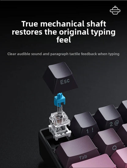 Wireless Gaming Mechanical Keyboard 60% RGB Bluetooth Keyboard, Triple Mode Wireless Mechanical Keyboard with 61 Keys, Compact RGB Gaming Keyboard for PC, Laptop & Tablet