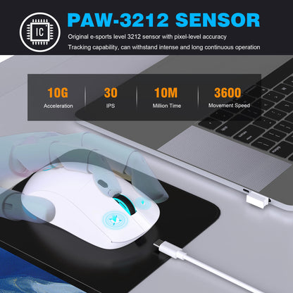 Rechargeable 2.4G USB Wireless Mouse, RGB Wireless Mouse with 3600 DPI, Ergonomic Rechargeable Wireless Mouse for Laptop, PC, Home Office & Gaming